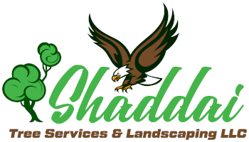 Shaddai Tree Services & Landscaping LLC